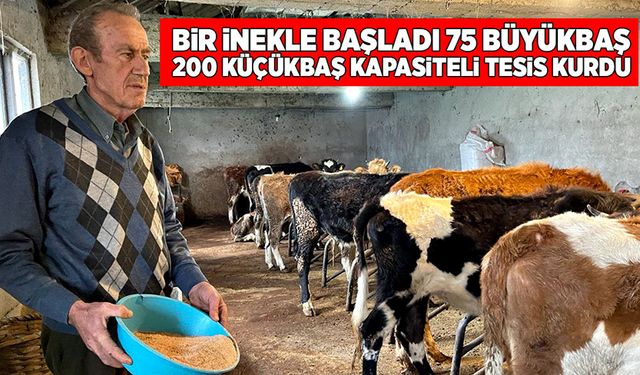 Bir inekle başladı 75 büyükbaş, 200 küçükbaş kapasiteli tesis kurdu