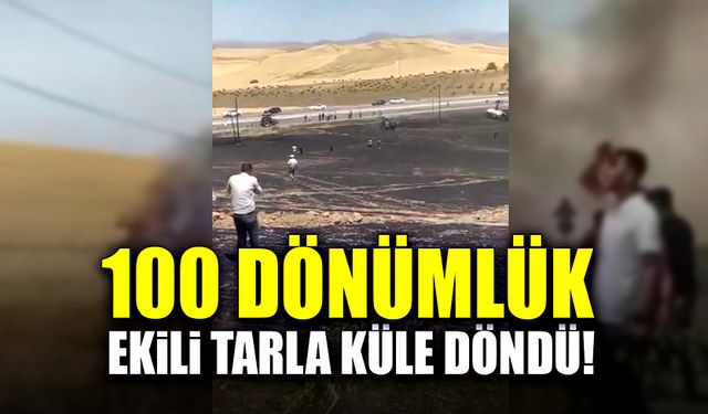 100 dönümlük ekili tarla alevlere teslim oldu!