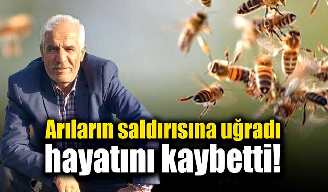 Arıların saldırısına uğradı, hayatını kaybetti!