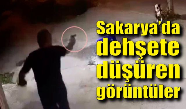 Sakarya’da dehşete düşüren görüntüler