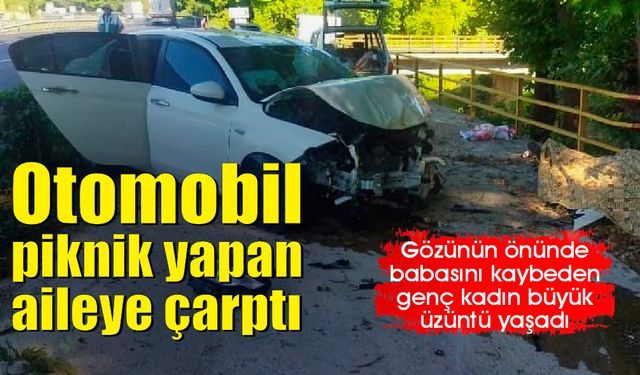 Kaza yapan otomobil piknik yapan aileye çarptı