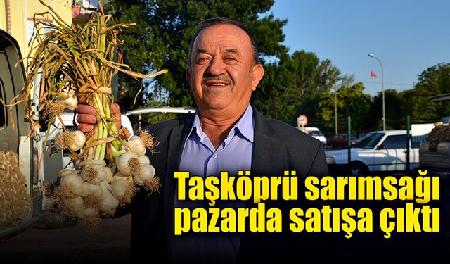 Taşköprü sarımsağı pazarda satışa çıktı