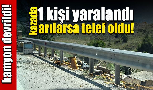 Arı kovanı yüklü kamyon devrildi! 1 kişi yaralanırken arılar telef oldu!