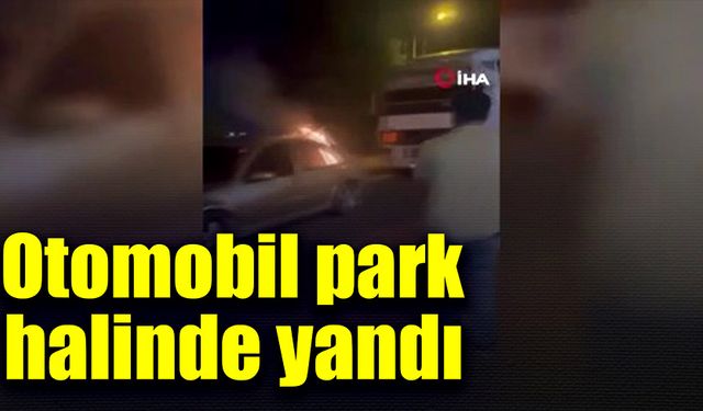 Park halindeki otomobil alevlere teslim oldu!