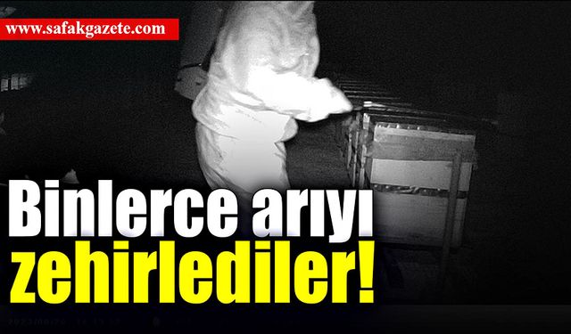 Binlerce arıyı zehirleyerek öldürdüler!