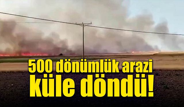 500 dönümlük arazi yangında küle döndü!