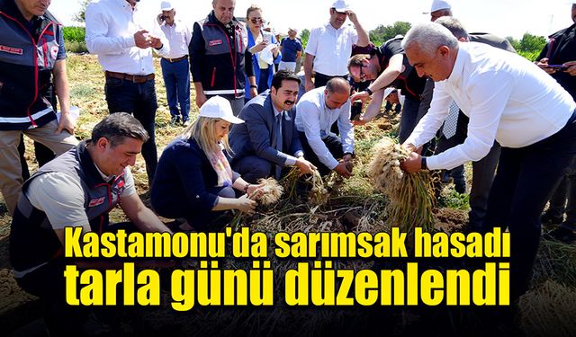 Kastamonu'da Sarımsak Hasadı Tarla Günü düzenlendi