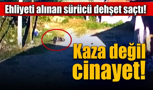 Kaza değil cinayet! 1 ölü, 1 yaralı!