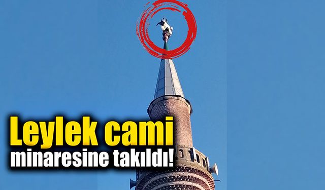 Leylek cami minaresine takıldı!