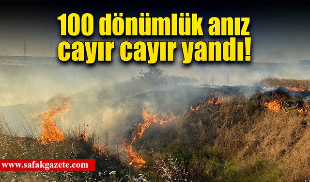 100 dönüm anız ve çalılık alevlere teslim oldu!