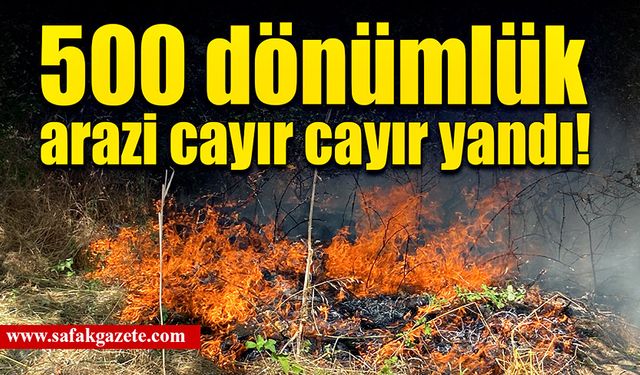 500 dönümlük alanda tahribat büyük oldu!