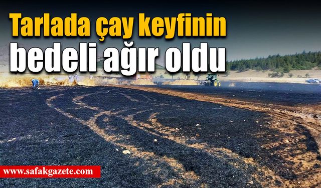 Çay demlemek için tarlada tüpü yaktı, 20 dönümlük arazisi kül oldu!