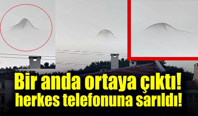 Bir anda ortaya çıktı, herkes telefonuna sarıldı!