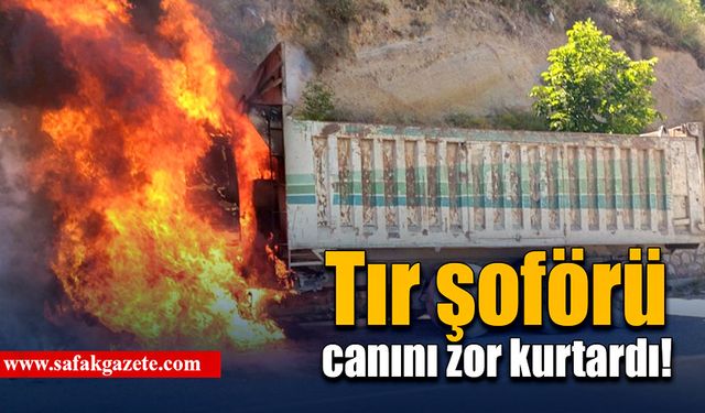 Tır şoförü canını zor kurtardı!