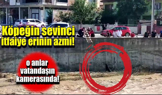 Mahsur kalan köpeğin kurtarılma anları!