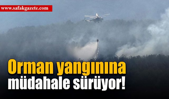 Orman yangınını söndürme çalışmaları sürüyor!