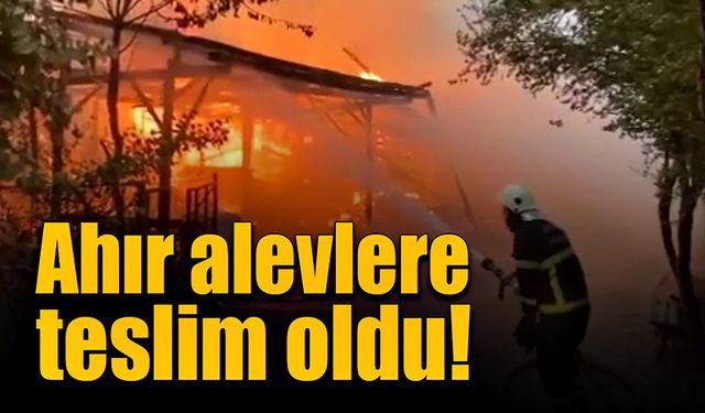 Ahır alevlere teslim oldu!