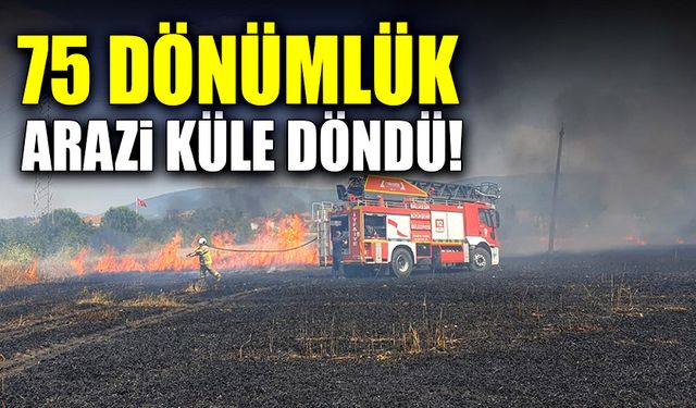 75 dönümlük buğday tarlası yangında küle döndü!