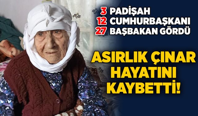 3 padişah, 12 cumhurbaşkanı, 27 başbakan gördü: Asırlık çınar hayatını kaybetti!