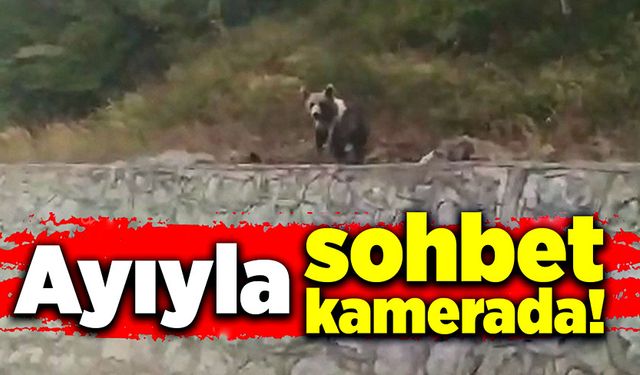 Ayıyla sohbet kamerada!