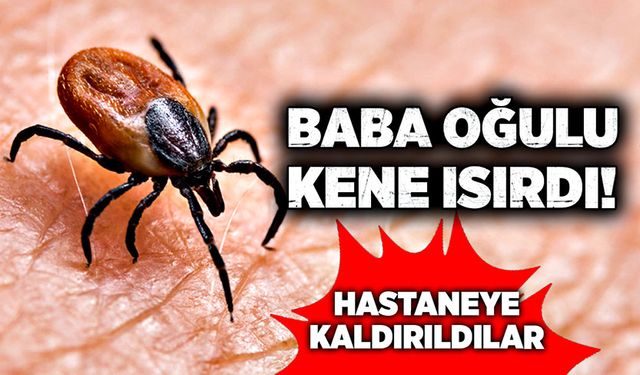 Baba oğulu kene ısırdı!