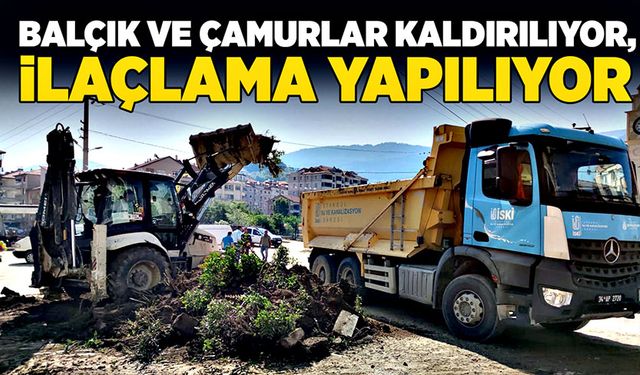 Balçık ve çamurlar kaldırılıyor, ilaçlama yapılıyor