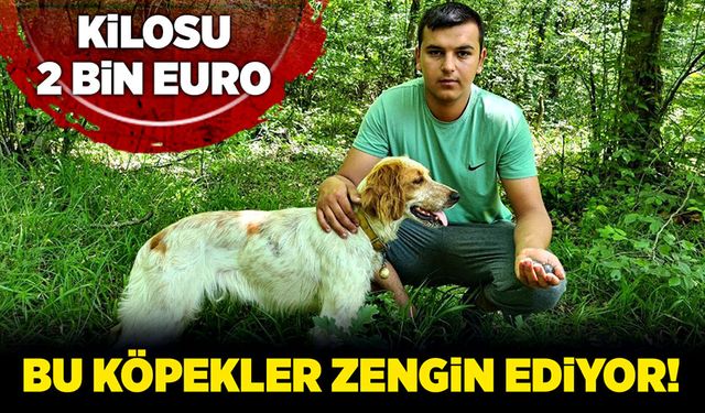 Bu köpek zengin ediyor!