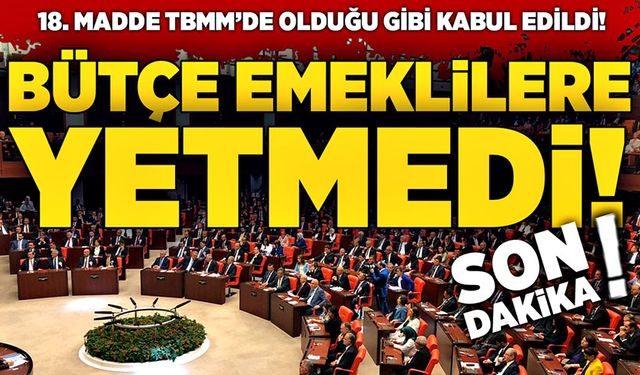 Son Dakika: Bütçe emeklilere yetmedi!