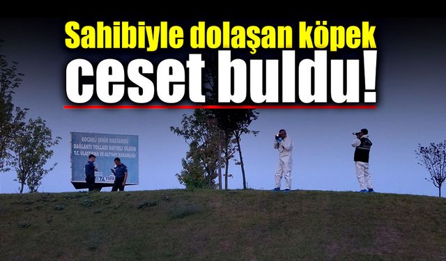 Sahibiyle dolaşan köpek ceset buldu!