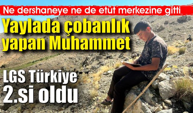 Keçilerin peşinde elinde kitap, bir ilçenin gururu Muhammet