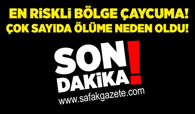 En riskli bölge Çaycuma!  Çok sayıda ölüme neden oldu!