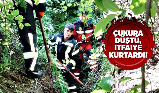 Düştüğü çukurdan, itfaiye kurtardı!