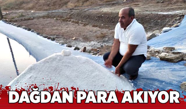 Dağdan para akıyor