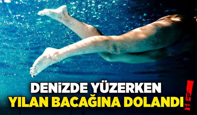 Denizde yüzerken yılan bacağına dolandı!