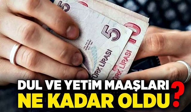 Dul ve yetim maaşları ne kadar oldu?