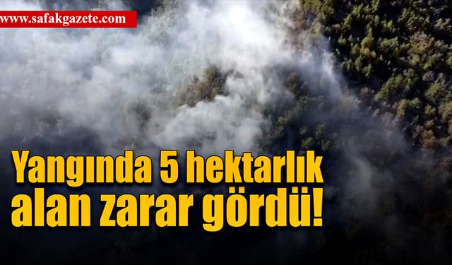 Ormanda çıkan yangında 5 hektarlık alan zarar gördü!