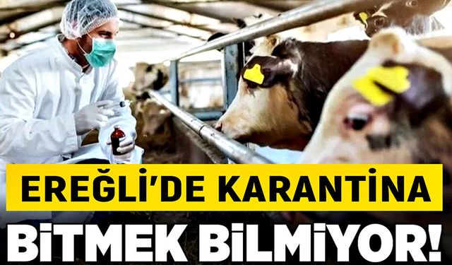 Bitmek bilmiyor: Ereğli’de karantina!