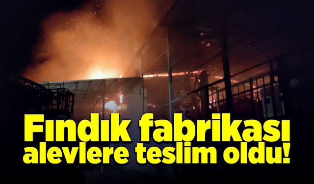 Fındık fabrikasında yangın çıktı!