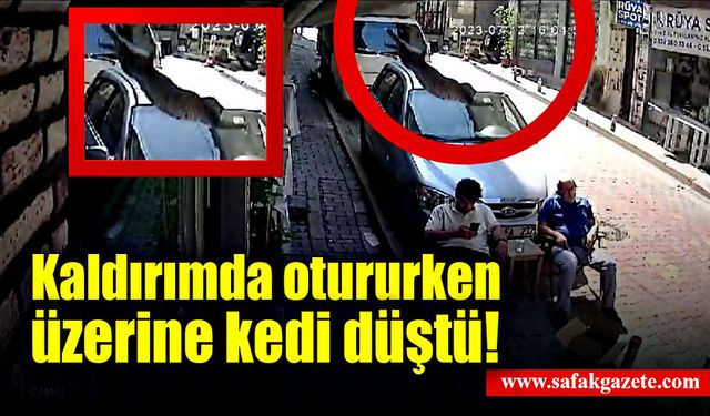 Kaldırımda otururken üzerine kedi düştü!