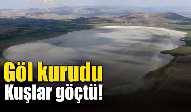 Kuraklık nedeniyle göl kurudu, kuşlar göçtü!