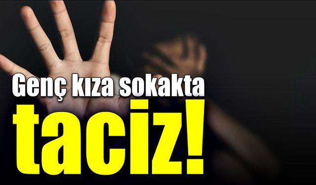 Genç kıza sokakta taciz!