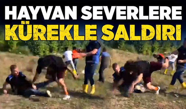 Hayvan severlere kürekle saldırı