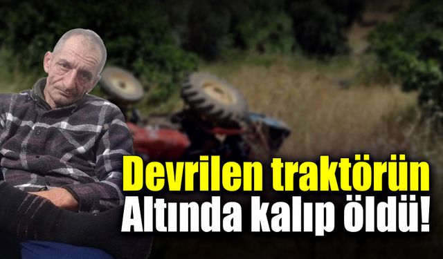 Kozalak toplamak için gitti, traktörün altında kaldı!