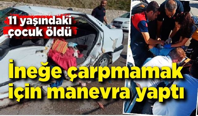 İneğe çarpmamak için manevra yaptı; 1 çocuk öldü, 8 yaralı