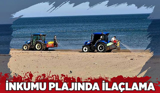 İnkumu plajında ilaçlama