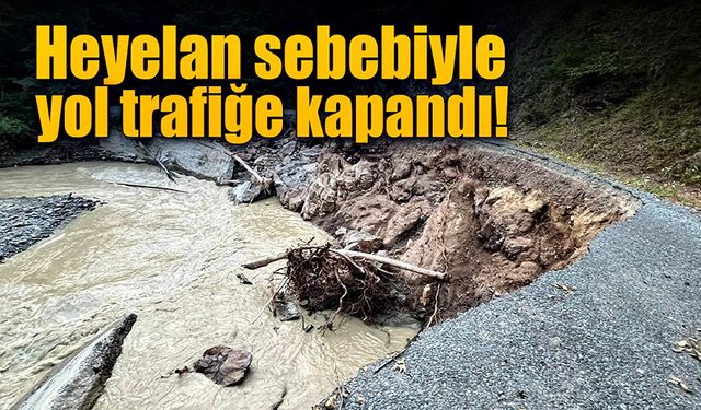 Heyelan sebebiyle yol çöktü! Trafiğe kapatıldı!