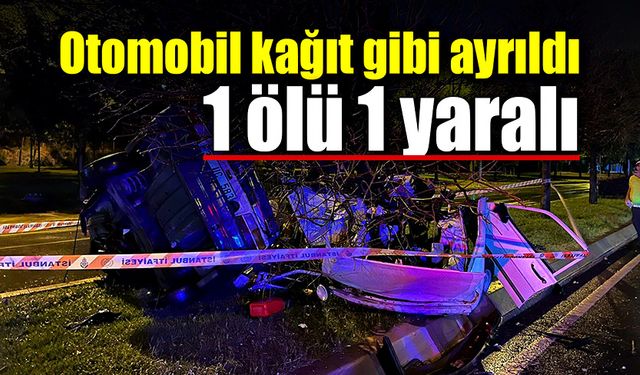 Ağaca çarpan otomobil kağıt gibi ayrıldı! 1 ölü, 1 yaralı