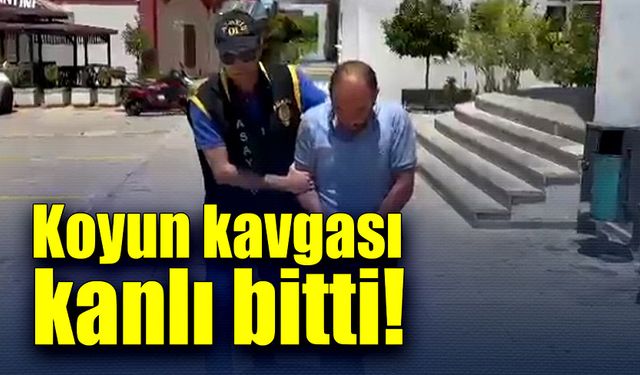 Koyun kavgası kanlı bitti!