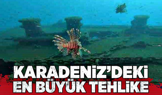 Karadeniz’deki en büyük tehlike!