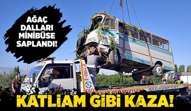 Ağaç dalları minibüse saplandı! Katliam gibi kaza!